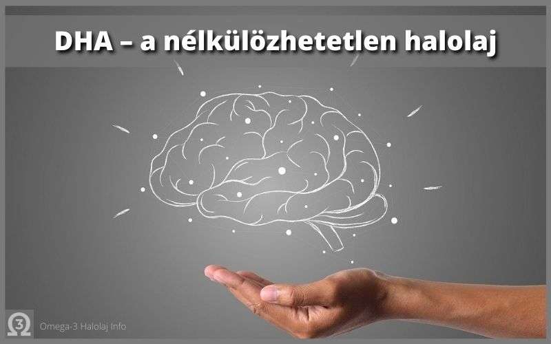 DHA a nélkülözhetetlen halolaj 1