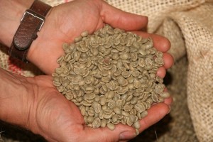 zöld kávé fogyasztó hatása hogyan kell étrend-kiegészítőket szedni a fogyás érdekében